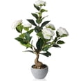 thumbnail image 2 of Artificial Bonsai Potted Plants, White Camellia Flowers with Greenery Leaves, Faux Desk Plant Decor, Realistic Spring Decorative Shelf Plant Gift for Office Decor, 2 of 8