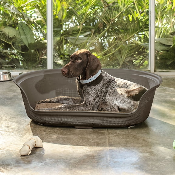 Cama Plástica Mascota Confortable Talla M Portátil Fácil de Lavar RIMAX