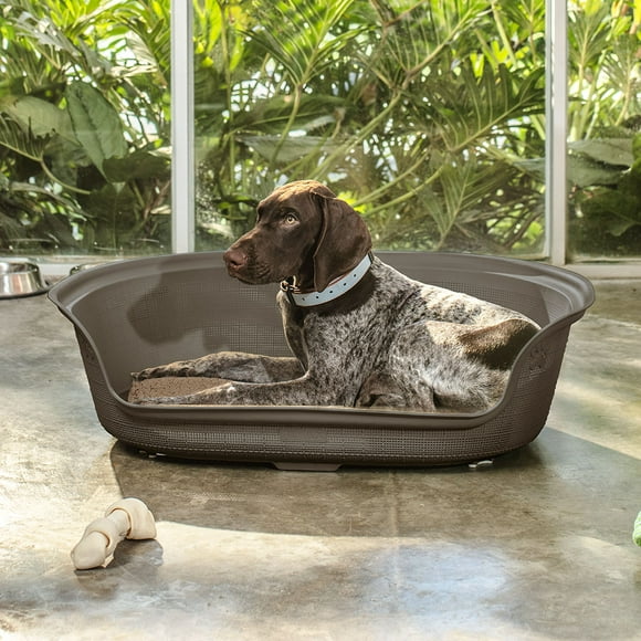 Cama Plástica Mascota Confortable Talla M Portátil Fácil de Lavar RIMAX
