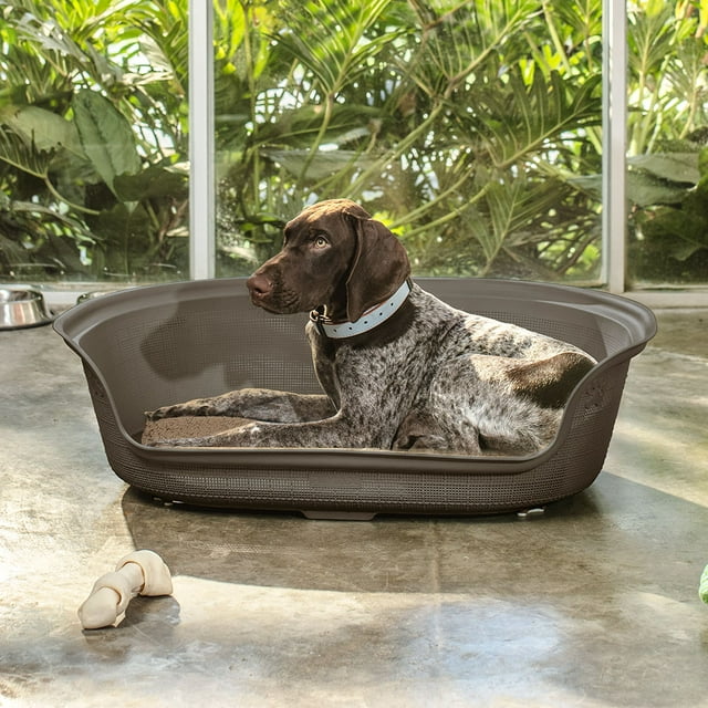 Cama Plástica Mascota Confortable Talla M Portátil Fácil de Lavar RIMAX