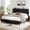 Black, variant on EnHomee Queen Bed Frame with Upholstered Headboard Bed Frame with LED Lights & Charge Station , Noise Free