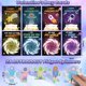 thumbnail image 3 of Set de tarjetas de San Valentín y Fidget Spinners de Wacky Tracks, 3 of 7