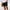 Black, variant on Mens Shorts Clearance under $10,Mens Casual Solid Pocket Elastic Waist Straight Half Shorts Sport Pants