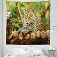 thumbnail image 1 of Zoo Tapestry, Jaguar on Wood Floor Wildlife Animals Feline Big Cat Mammal Predator Resting, Fabric Wall Hanging Decor for Bedroom Living Room Dorm, 5 Sizes, Green Yellow Brown, by Ambesonne, 1 of 1