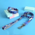 thumbnail image 5 of SPRING PARK Dog Collar Leash, Soft Nylon Walking Safety Traction Rope for Comfort - Perfect Leashes for Medium and Large Dogs, 5 of 7