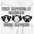 thumbnail image 2 of What Happens at Grandma's Hilarious Toddler Boy Girl T Shirt Infant Toddler Brisco Brands 18M, 2 of 6