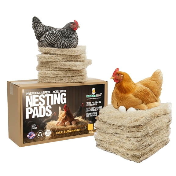 Hatching Time Premium Laying Hen Nesting Pads, 10 Pack, 13 in x 13 in, Nest Box Pads for Chicken Coop Type Nesting Boxes, Aspen Excelsior Material