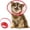 Red, variant on Vivifying Dog Cones for Small Dogs, Adjustable Soft Lightweight Elizabethan Collar for Small Dogs and Large Cats to Stop Licking Wounds After Surgery