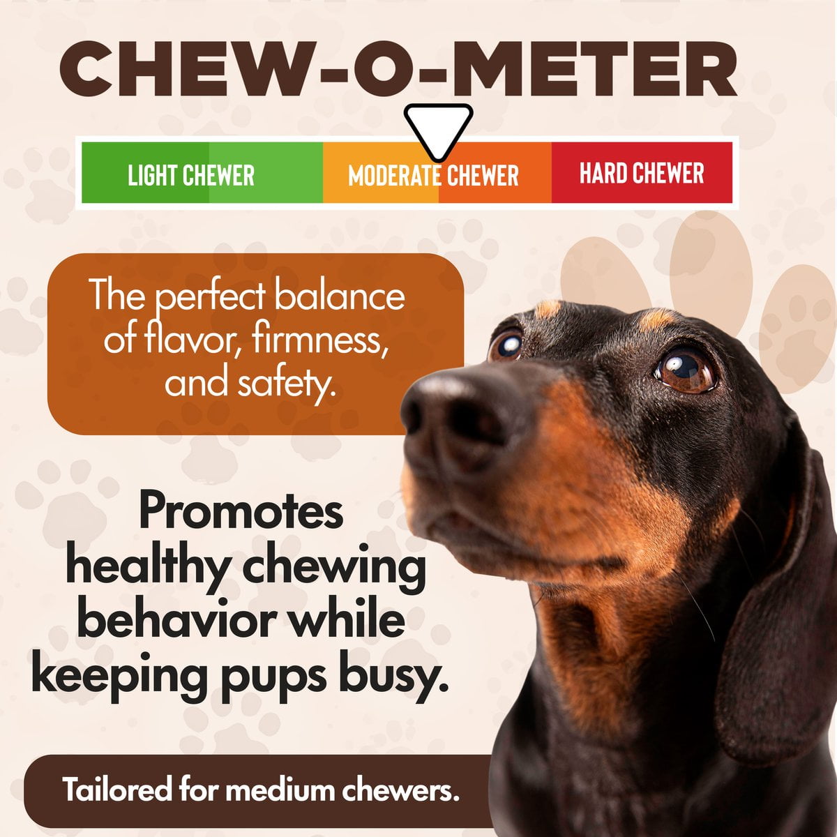 Scoochie Pet Chewka Bacon Flavored Plant-Forward Fully Digestible Dog Chew Bone, Medium, 6CT