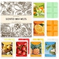 thumbnail image 3 of SCENTORINI Summer Wax Melts, 6 Multi-Scent Wax Cubes for Warmer, Essential Fragrance Wax Tarts for Home, 3 of 9