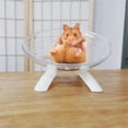 thumbnail image 4 of Uqiangy Hamster Wheel,Silent Wheel,Hamster Flying Saucer Silent Running Exercise Wheel for Hamsters, Gerbils, Mice,Hedgehog and Other Small Pets Silent Running Wheel Hamster Wheel, 4 of 7
