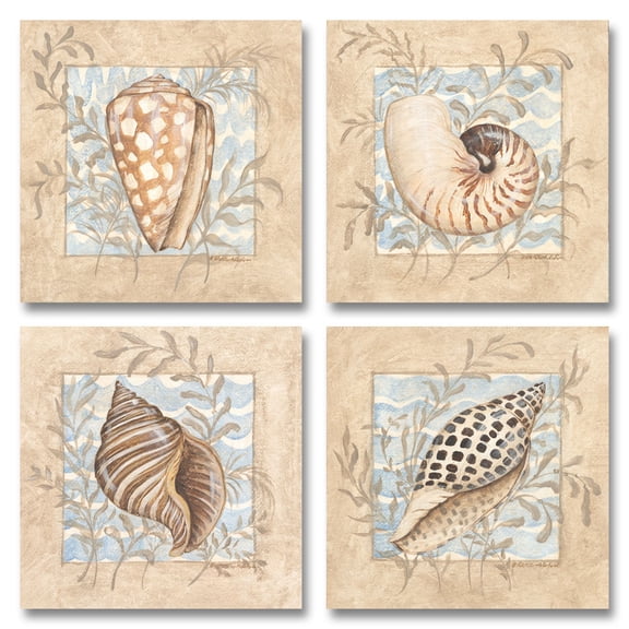 Seychelles Island; Lovely Tan and Blue Seashell Set; Four 12X12 Poster Prints