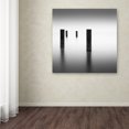 thumbnail image 4 of Trademark Fine Art Dave MacVicar 'Lucid' 35 x 35 (ALI0841-C3535GG), 4 of 4