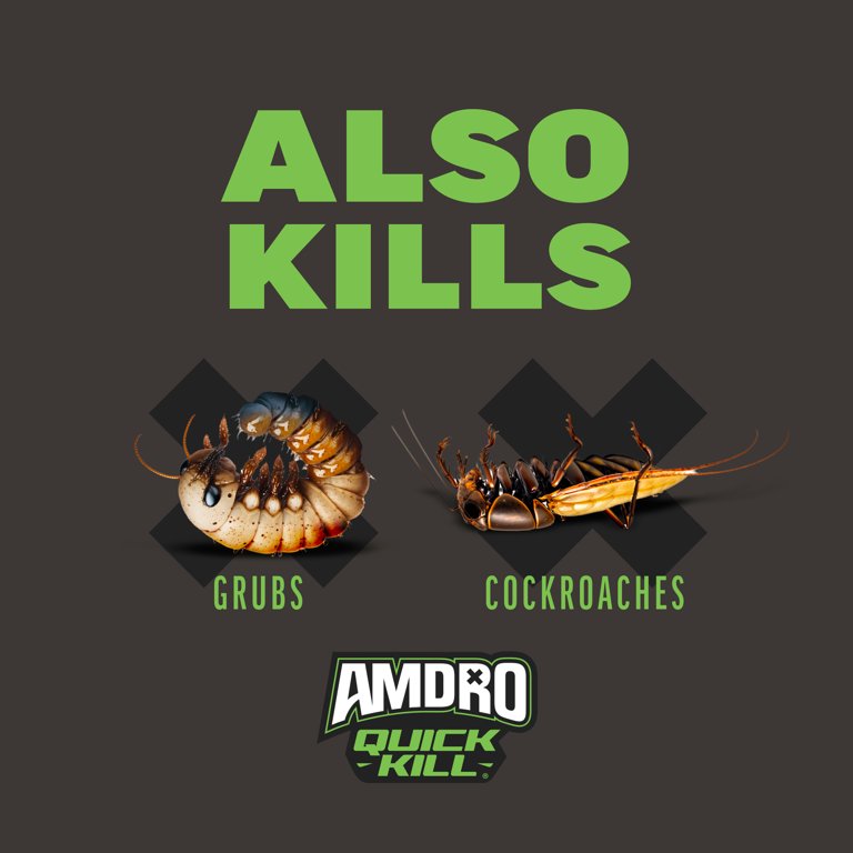 Amdro Quick Kill Ant & Spider Killer Granules, 3 Lbs photo 5