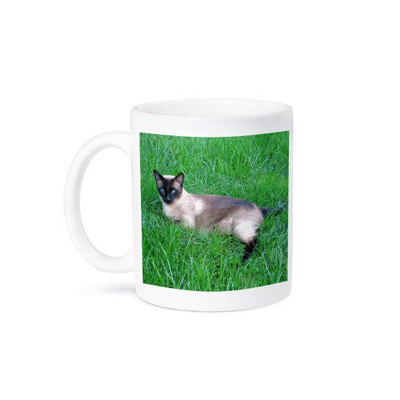 3dRose, Siamese Cat, 11oz Mug