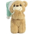 thumbnail image 3 of Aurora - Medium Brown Precious Moments - 10" Charlie Prayer Bear - Inspirational Stuffed Animal, 3 of 5