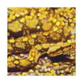 thumbnail image 4 of Python in Pointillism - Canvas, 4 of 25