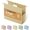 Morandi Yellow, variant on Plastic  File Folders Letter Size,6 Pack Letter Size  File Folders with 1/5-Cut Tabs,Heavy Duty 3 Inch Expansion, Expandable  File Folders Organizer for Documents