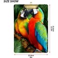 thumbnail image 2 of FMSHPON Colorful Parrot Birds Clipboard Hardboard Wood Nursing Clip Board and Pull for Standard A4 Letter 13x9 inches, 2 of 5