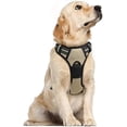 thumbnail image 1 of rabbitgoo Dog Harness  No-Pull Pet Harness with 2 Leash Clips  Adjustable Soft Padded Dog Vest  Reflective No-Choke Pet Oxford Vest with Easy Control Handle for Large Dogs  Teal  L, 1 of 9