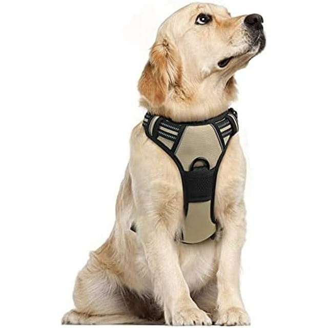 rabbitgoo Harnais pour Chien Harnais Anti-Traction avec 2 Pinces à Laisse Gilet Rembourré Réglable Réfléchissant Sans Étranglement Gilet Oxford pour Animaux avec Poignée de Contrôle Facile pour Grands Chiens Turquoise L