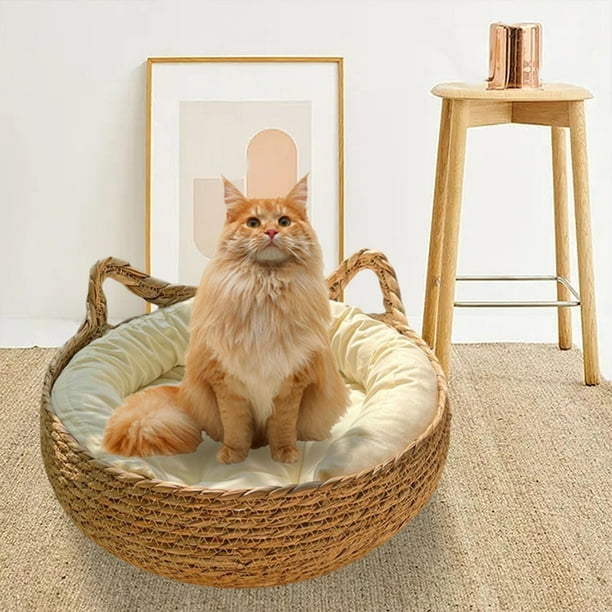 Cama para rascar gatos con dispositivos de almohadilla extraíbles Sofá portátil Perrera Cómoda tabla para rascar gatos Cama para dormir para gatos Blanco 40cm Yinane Cama para rascar gatos