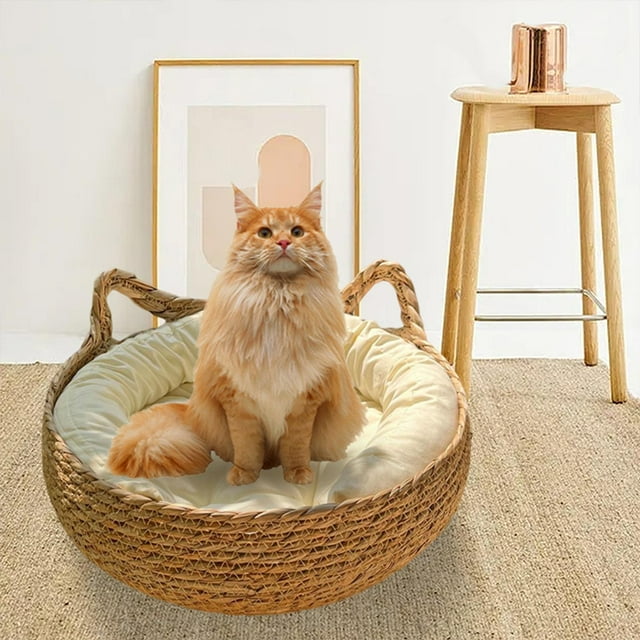 Rascador de cama para gatos con almohadillas extraíbles, sofá, perrera suave, lavable, portátil, rascador para gatos, para gatitos, perros pequeños y Blanco 40cm Salvador Cama para rascar gatos