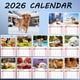 thumbnail image 5 of Calendario 2026 para amantes de las mascotas: regalo ideal para mascotas de 12 meses. Calendario personalizado para el hogar y la oficina., 5 of 7