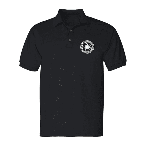 ALLNTRENDS Men's Polo T Shirt United States Space Force Embroidered USA Shirt (XL, Black)