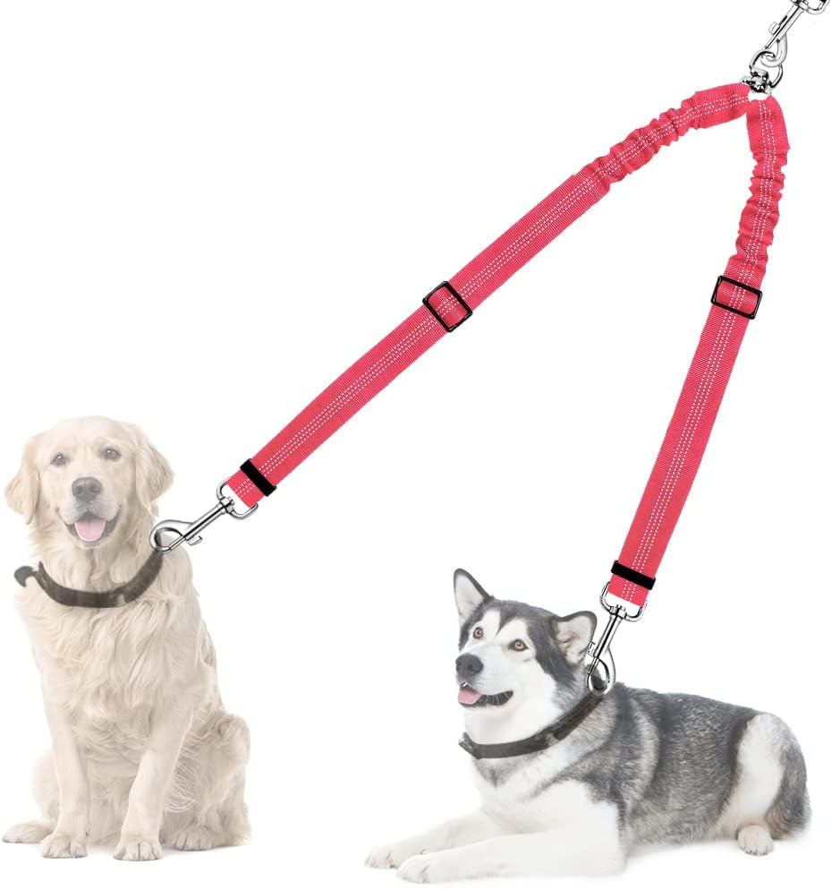 shock absorbing dog lead