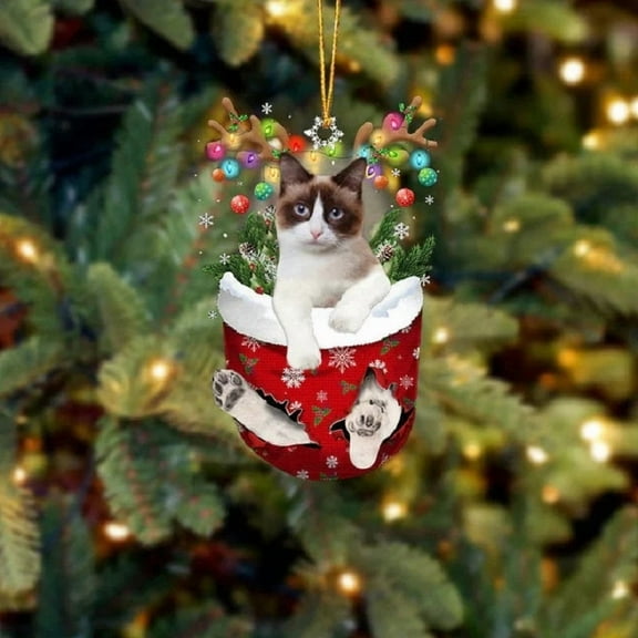 Acrylic 2D FLAT Snowshoe Cat In Snow Pocket Christmas Ornament