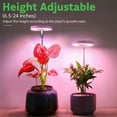 thumbnail image 4 of BeesClover 2 Paquets de Lampes de Croissance pour Plantes d'Intérieur avec 9 Niveaux de Luminosité Réglables Hauteur Réglable LED Spectre Complet Lampe pour Plantes, 4 of 7