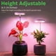 EastVita 2 Packs Grow Lumières pour les Plantes d'Intérieur avec 9 Dimmable Luminosité Hauteur Réglable LED Full Spectrum Plante Lumière – image 2 sur 7