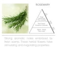 thumbnail image 3 of Acqua Aroma Rosemary Room Fragrance Spray 6.8 FL OZ (200ml) Alecrim, 3 of 4