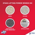 thumbnail image 6 of Resolve Spot & Stain Carpet Cleaner (RTU) 12/32 oz.​, 6 of 8