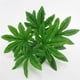 thumbnail image 2 of Hojas de helecho artificiales Rama Arbusto Simulación Flor Mesa 1, 2 of 9