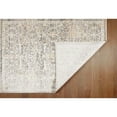 thumbnail image 3 of Umbria Panel Area Rug - Charcoal, 3'3"x5'3", 3 of 6