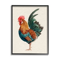Stupell Industries Traditional Morning Rooster Illustration Elegant Bird Feathers, 16 x 20, Design by Grace Popp 