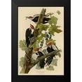 thumbnail image 2 of Vintage Apple Collection 11x14 Black Modern Framed Museum Art Print Titled - Pileated Woodpecker, 2 of 5