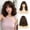 Ombre Brown Highlight, variant on Auburn Wig with Bangs, 14 Inch Short Curly Bob Wig for Women, Length Wig for & Halloween