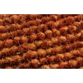 thumbnail image 5 of Nourison Fantasia FAN1 Area Rug - Rust, 5 of 5