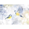 thumbnail image 2 of Animal Wallpaper Wall Mural - Watercolor Birds Blue, 2 of 5
