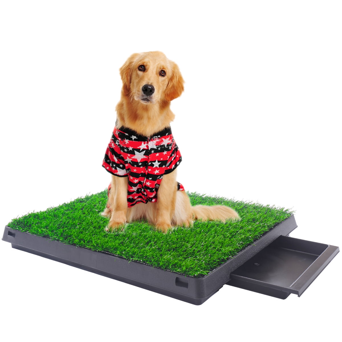 Herbe Artificielle pour Chiens Faux Herbe pour Chiots Potty