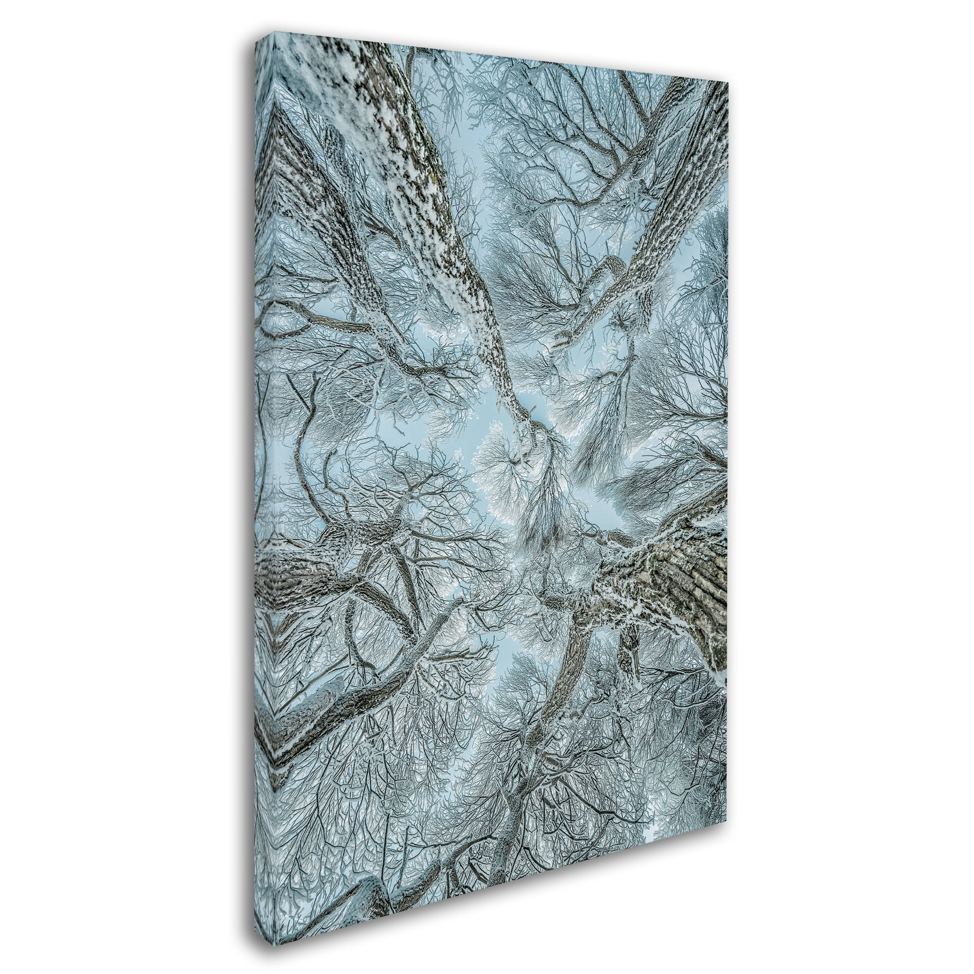 Trademark Fine Art 'Winter Frost' Canvas Art by Petri Damstï¿½n