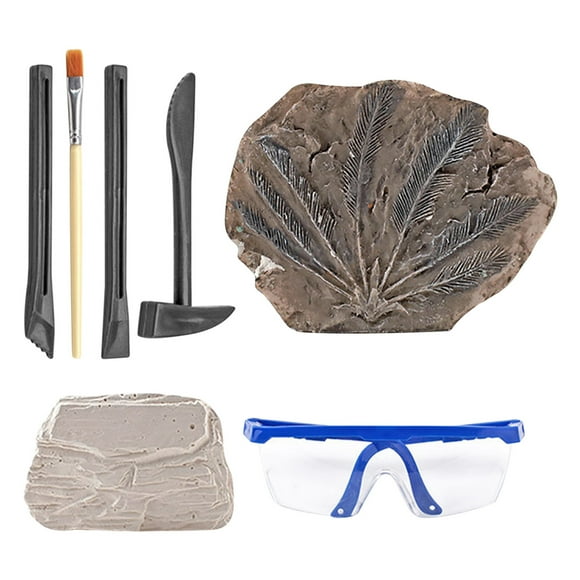 A Cycad Fossil Archaeology Excavation Kit Diy Plaster Dig Educational Science Toy For Kids Size Varies
