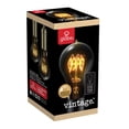 thumbnail image 2 of 60W Vintage Edison A19 Quad Loop Incandescent Filament Light Bulb 3-Pack, E26 Base, 245 Lumens, 2 of 5