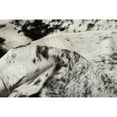 thumbnail image 3 of Natural Kobe Cowhide Rug | 6'x7', 3 of 5