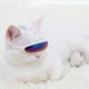 thumbnail image 2 of Gafas De Metal Para Mascotas Gafas De Sol De Moda Para Mascotas Gafas Antideslizantes Para Perros Protección Solar Gafas Retro Para Mascotas Protección Ocular Decoración Para Mascotas Gafas De Sol Advancent PT001575-02, 2 of 6
