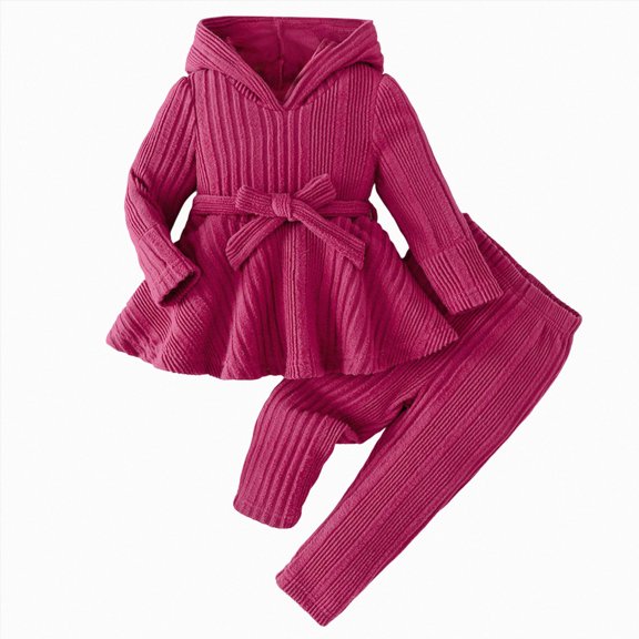 CAICJ98 Toddler Baby Girl Clothes Floral Outfit Ruffle Sleeve Hoodie Shirt with Headband Pant Set Fall Winter 3 6 12 18 24 Months 2T 3T 4T Infant Girls Clothes (Hot Pink,9-12 Months)