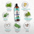 thumbnail image 2 of Enjuague bucal GuruNanda, extrayente de aceite de coco, 6 x 240 ml, Fresh Breath, 2 of 8